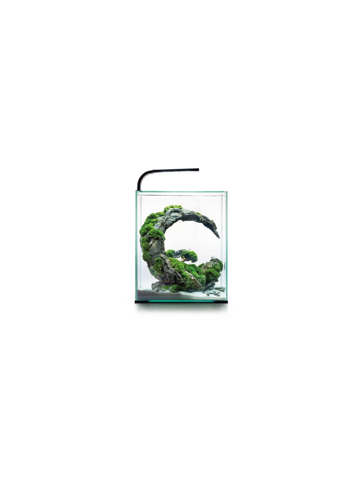 Acvariu, Aquael Shrimp Smart Day & Night, 20 L, Alb