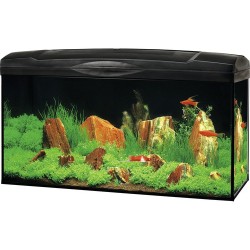 Set acvariu Marina 54l cu accesorii incluse