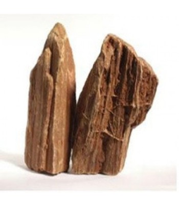 Piatra Lemn fosilizat 0.8-1.2kg