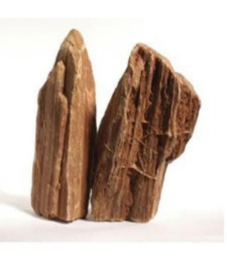 Piatra Lemn fosilizat 0.8-1.2kg