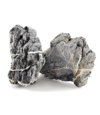 Piatra Seiryu 4.5-5.5 kg