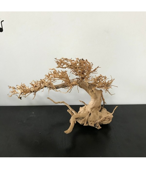 Lemn Aqua-Bonsai  23-30 cm