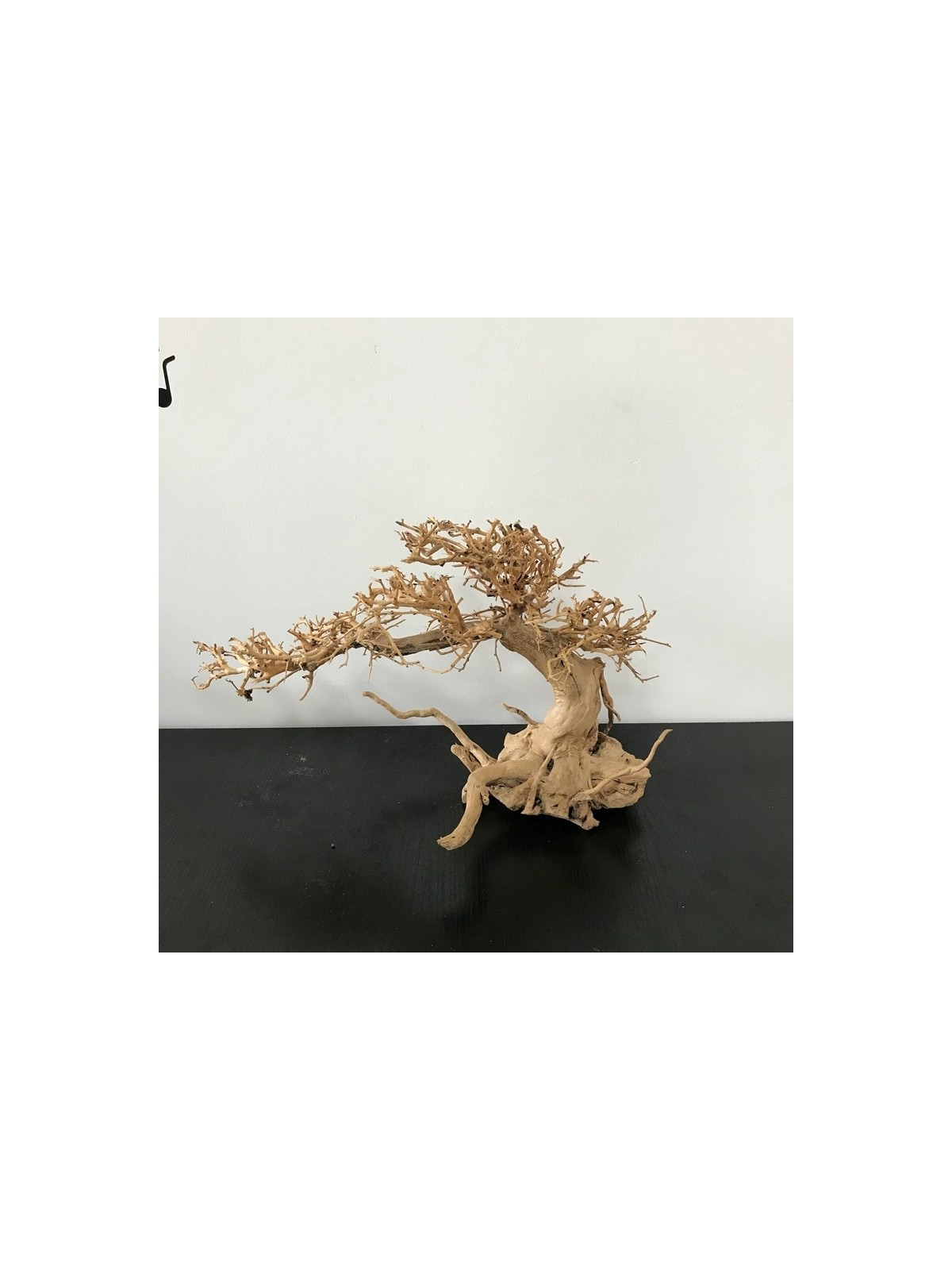 Lemn Aqua-Bonsai  23-30 cm