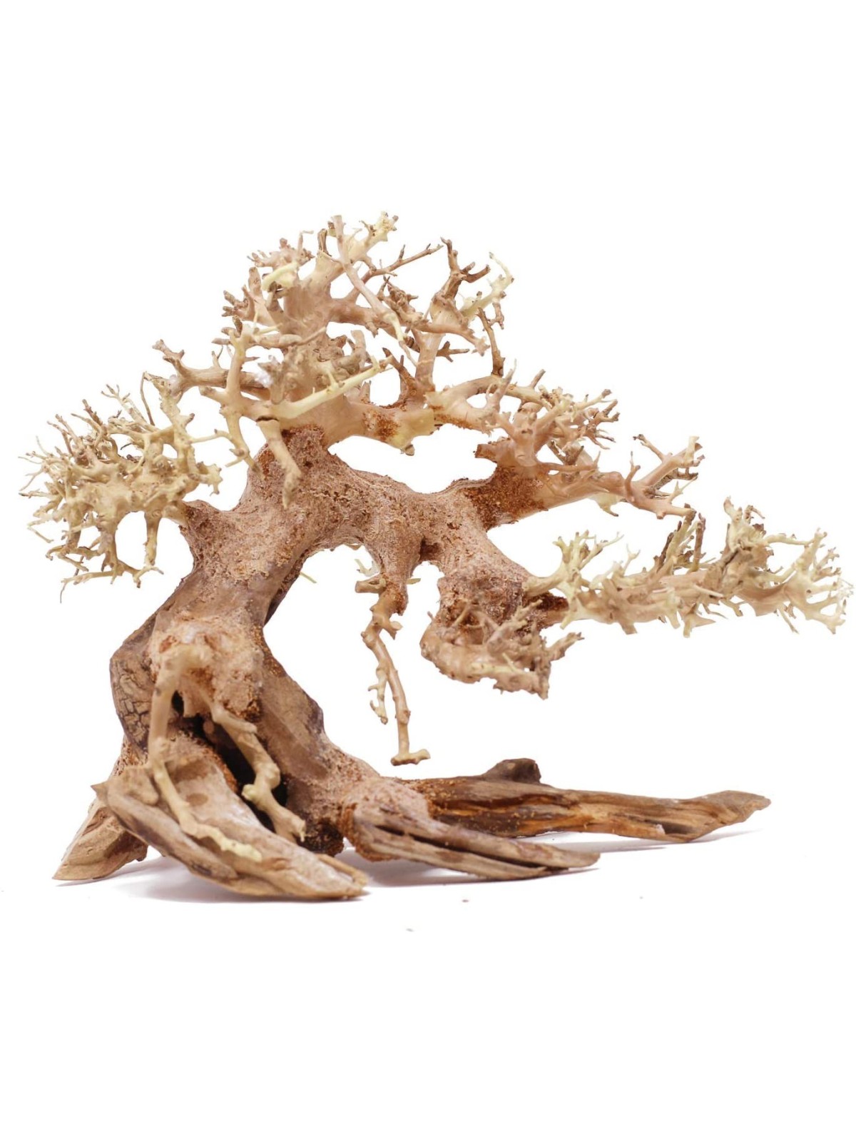 Lemn Aqua-Bonsai 15-20 cm