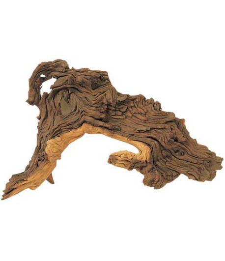 Radacina de Mopani 25-35 cm