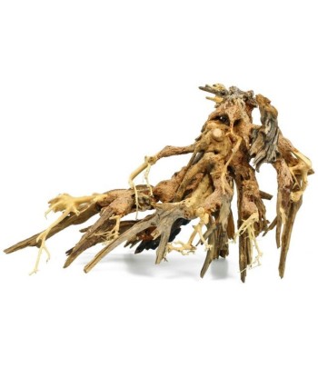 Lemn Octopus Wood Bonsai 25-30 cm