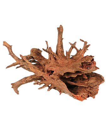 Radacina Corbo Wood 50-70cm