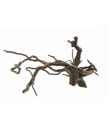 Radacina Fingerwood Dark  40-60cm