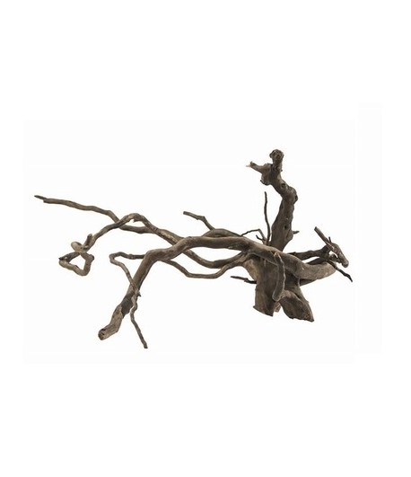 Radacina Fingerwood Dark  40-60cm