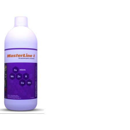 MasterLine I  1000ml