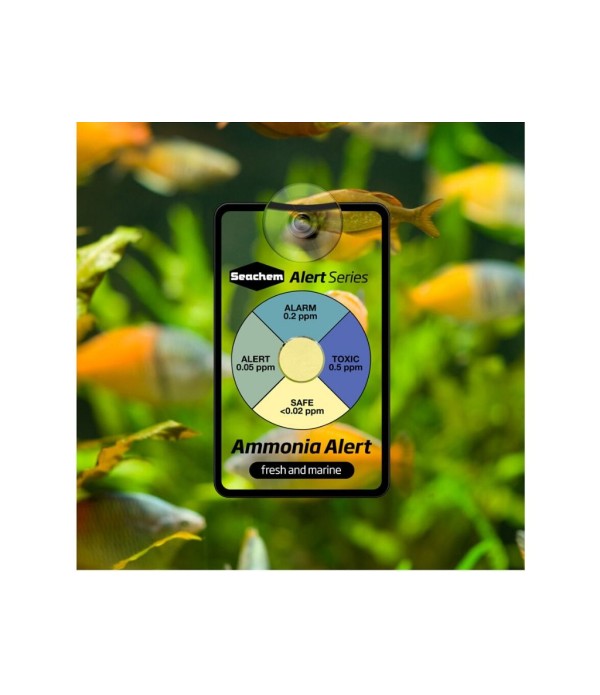 Test permanent Seachem Ammonia Alert (1 an)