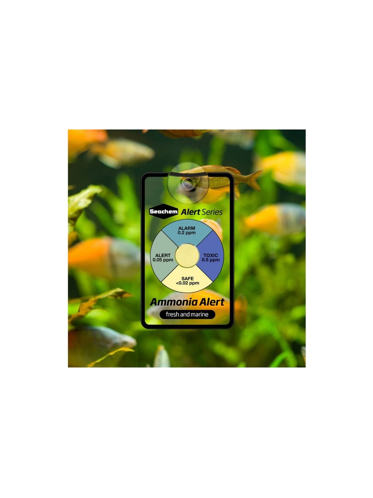 Test permanent Seachem Ammonia Alert (1 an)