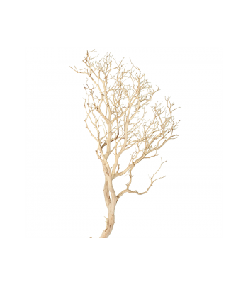 Rădăcină decorativă Driftwood
