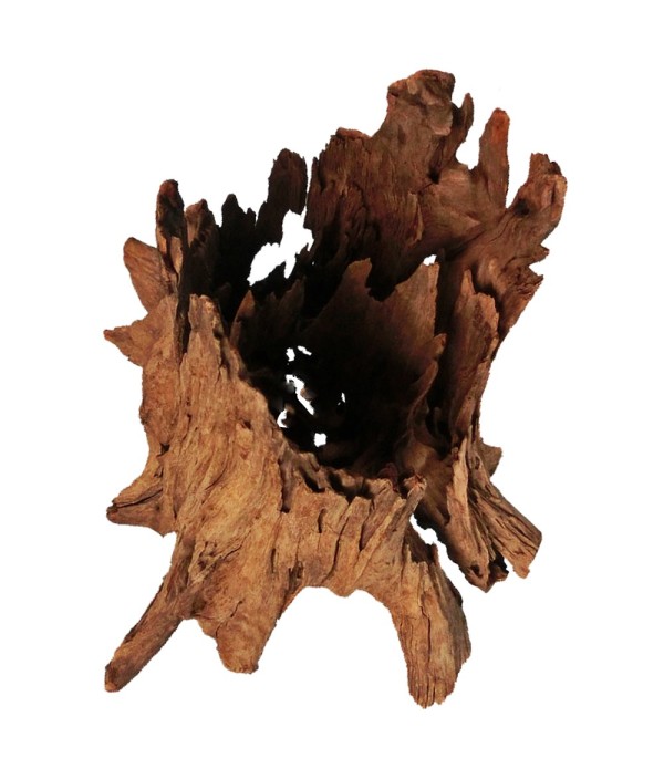 Rădăcină malaysian Driftwood L -  40 - 60 cm
