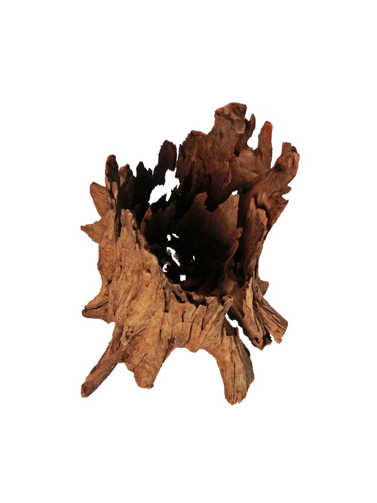 Rădăcină malaysian Driftwood L -  40 - 60 cm