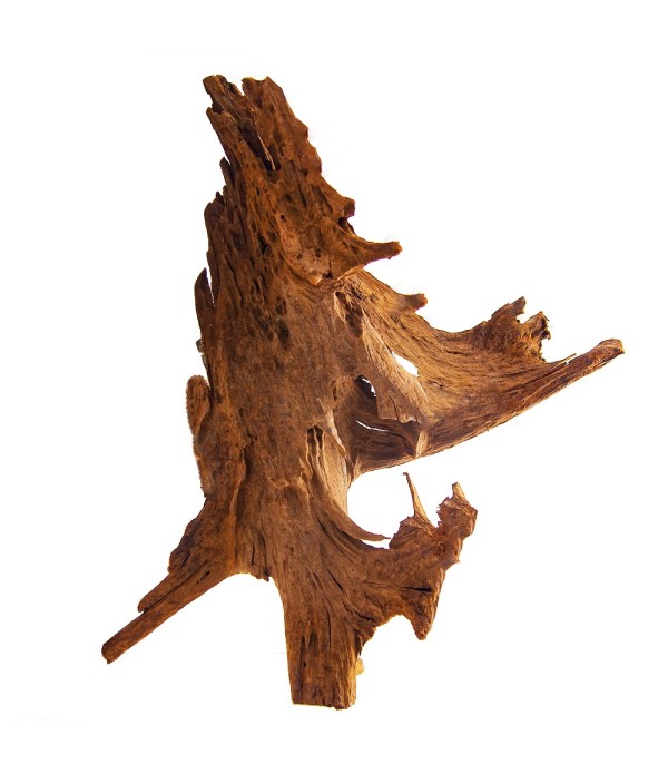Rădăcină malaysian Driftwood L -  40 - 60 cm