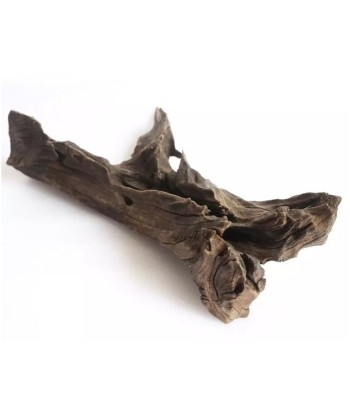 Rădăcină mangrove - 1 kg