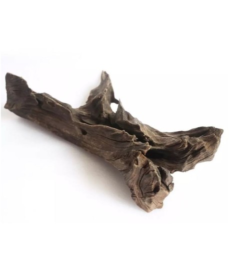 Rădăcină mangrove - 1 kg