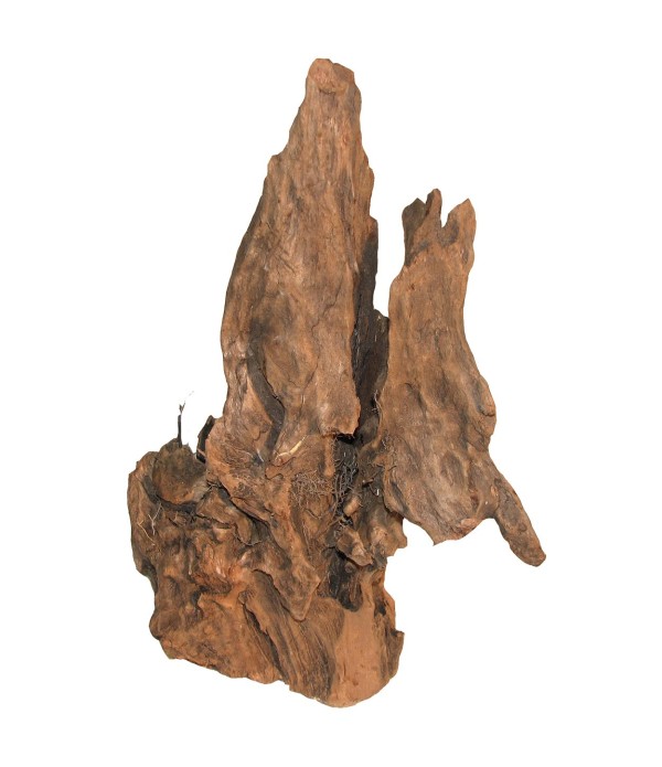 Rădăcină mangrove - 1 kg