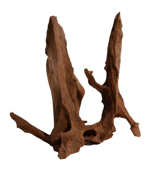 Rădăcină mangrove - 1 kg