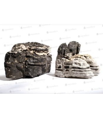 Piatra Aquadeco Leopard Rock 0.8-1.2kg