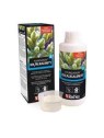 Reef Foundation B KH/ALKALINITY 1000ml Red Sea Alcalinitate
